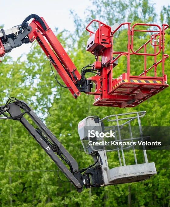 Forestation Machinery